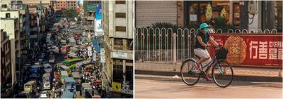 Designing Function-Specific Plant Systems for Sustainable Urban Development